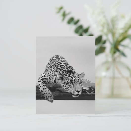 Leopard Postkarte (Stehend Vorderseite)