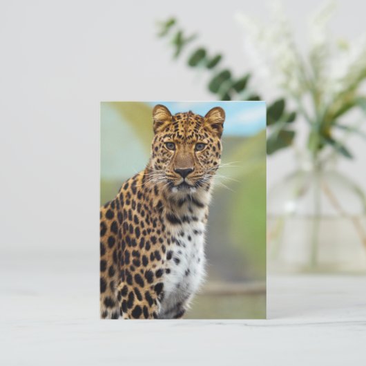 Leopard Postkarte (Stehend Vorderseite)