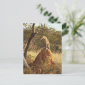 Leopard Postkarte (Stehend Vorderseite)