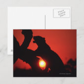 Leopard Postkarte (Vorne/Hinten)