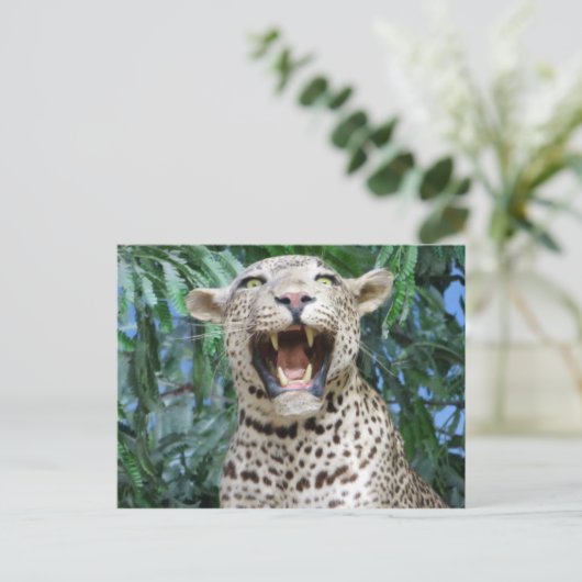 Leopard Postkarte (Stehend Vorderseite)