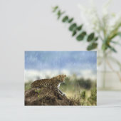 Leopard Postkarte (Stehend Vorderseite)