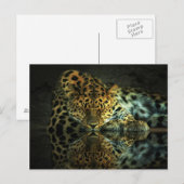 Leopard Postkarte (Vorne/Hinten)