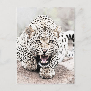 Leopard Postkarte