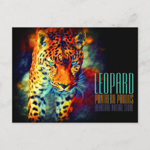 Leopard [Postkarte] Postkarte