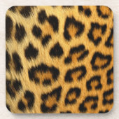 Leopard Print Getränkeuntersetzer (Vorderseite)