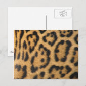 Leopard Print Postkarte (Vorne/Hinten)