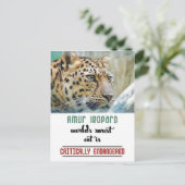 Leopard Protect the Wildlife quote Postkarte (Stehend Vorderseite)