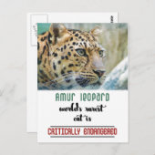 Leopard Protect the Wildlife quote Postkarte (Vorne/Hinten)