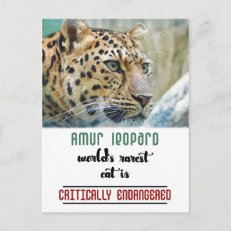 Leopard Protect the Wildlife quote Postkarte