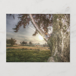 Leopard-Puppe auf einem Baum Postkarte