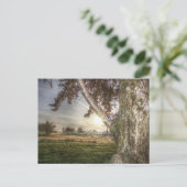 Leopard-Puppe in einer Tree-Postkarte Postkarte (Stehend Vorderseite)