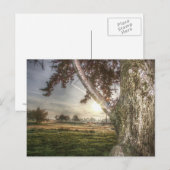 Leopard-Puppe in einer Tree-Postkarte Postkarte (Vorne/Hinten)