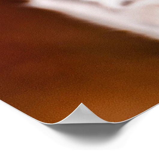 Leopard-Putzplakat Poster (Ecke)