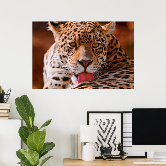 Leopard-Putzplakat Poster (Heimbüro)
