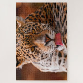 Leopard putzt seine Pfoten auf dem Boden Puzzle (Vertikal)