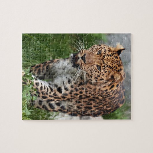 Leopard Puzzle (Horizontal)