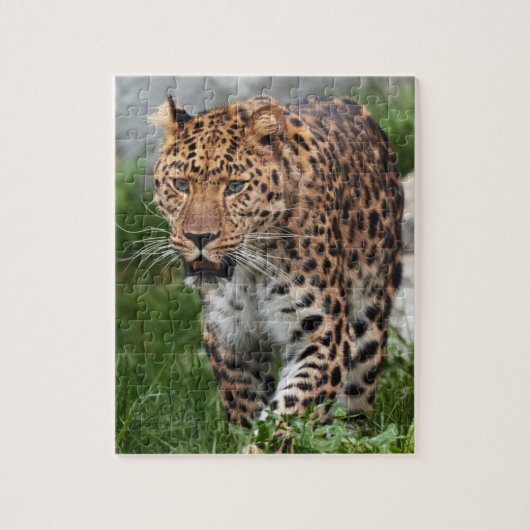 Leopard Puzzle (Vertikal)