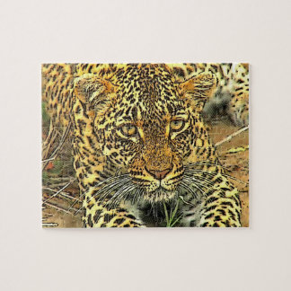 Leopard Puzzle