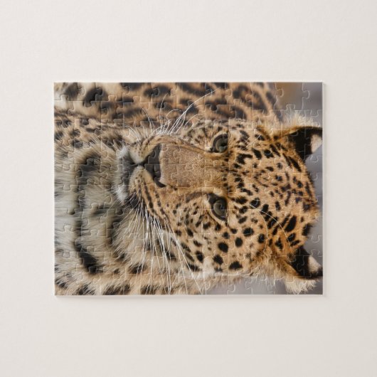 Leopard Puzzle (Horizontal)
