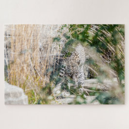 Leopard Puzzle
