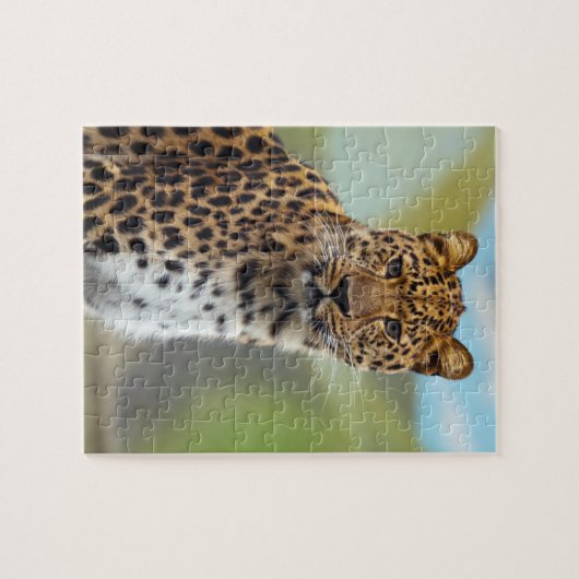 Leopard Puzzle (Horizontal)