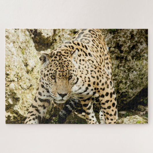 Leopard Puzzle (Horizontal)