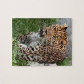 Leopard-Puzzle Puzzle (Horizontal)
