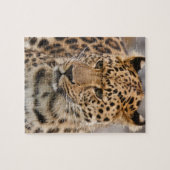 Leopard-Puzzle Puzzle (Horizontal)