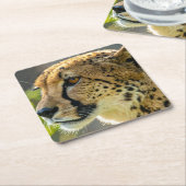 Leopard Rechteckiger Pappuntersetzer (angewinkelt)