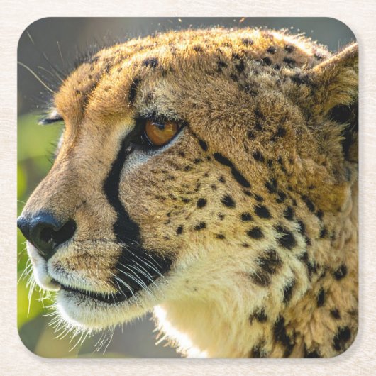 Leopard Rechteckiger Pappuntersetzer (Vorderseite)