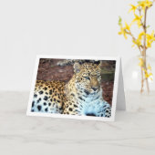 Leopard Relaxen Karte (Gelbe Blume)