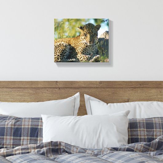 Leopard ruhend panthera pardus Kruger Leinwanddruck (Insitu (Schlafzimmer))