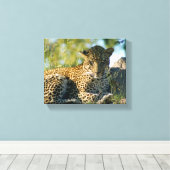 Leopard ruhend panthera pardus Kruger Leinwanddruck (Insitu (Holzboden))