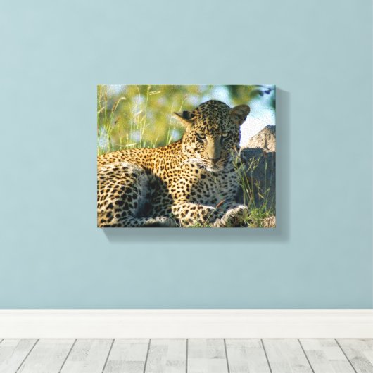 Leopard ruhend panthera pardus Kruger Leinwanddruck (Insitu (Holzboden))