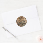 Leopard Runder Aufkleber (Umschlag)