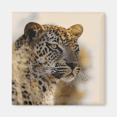 Leopard-Safarimagnete Magnet (Vorne)