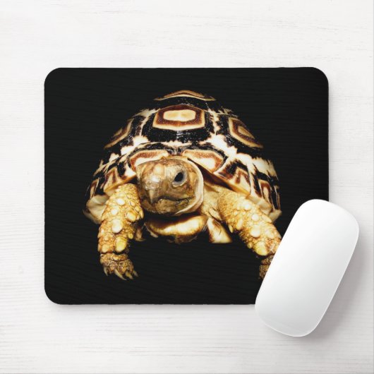 Leopard-Schildkröte Mousepad (Mit Mouse)
