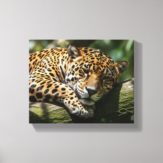 Leopard-Schlaf-Leinwand-Wandkunst Leinwanddruck (Vorderseite)
