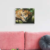 Leopard-Schlaf-Leinwand-Wandkunst Leinwanddruck (Insitu (Wohnzimmer))