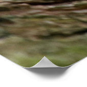 Leopard-Schlafposter Poster (Ecke)