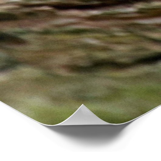 Leopard-Schlafposter Poster (Ecke)