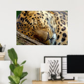 Leopard-Schlafposter Poster (Heimbüro)