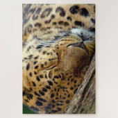Leopard schläft auf einem Stein Puzzle (Vertikal)