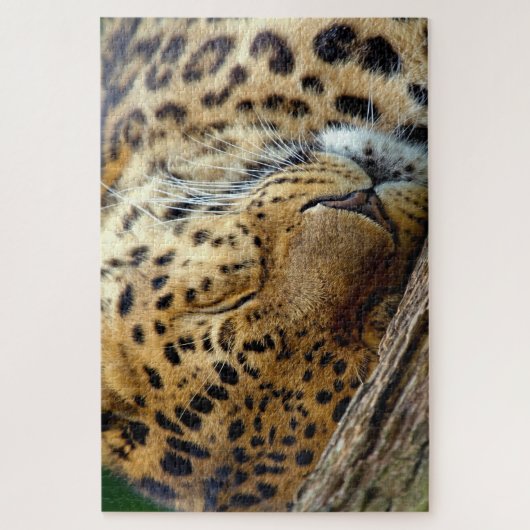 Leopard schläft auf einem Stein Puzzle (Vertikal)