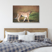 Leopard schlicht leinwanddruck (Insitu (Schlafzimmer))