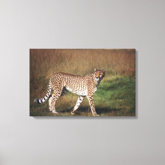 Leopard schlicht leinwanddruck (Vorderseite)