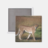 Leopard schlicht magnet (Vorderseite/Rückseite)