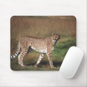 Leopard schlicht mousepad (Mit Mouse)