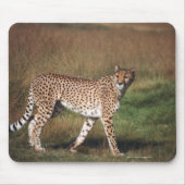 Leopard schlicht mousepad (Vorne)